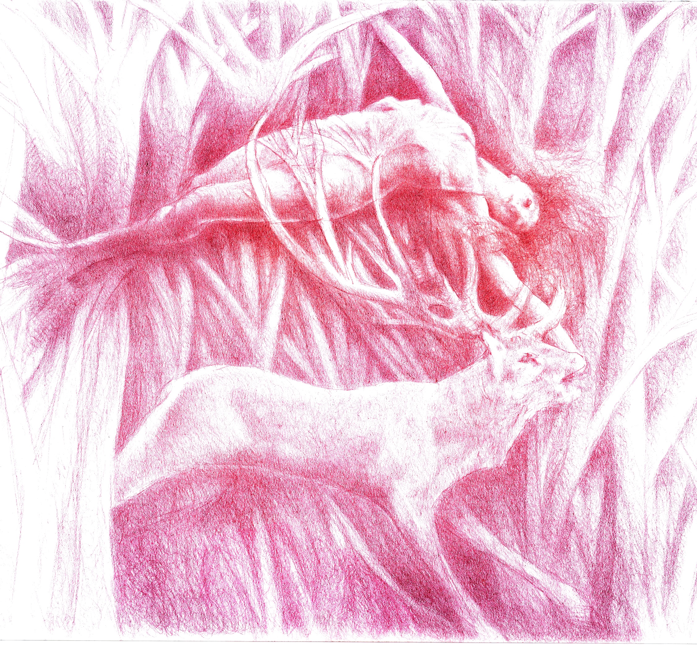 Pocket Opera - Giovedì 20 Novembre 20/11/2025 19:30- Autunno Musicale